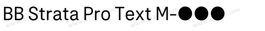 BB Strata Pro Text M字体转换
